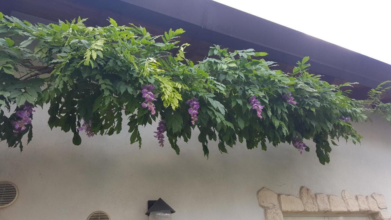 Hotel Casa Yami Padova Exteriér fotografie